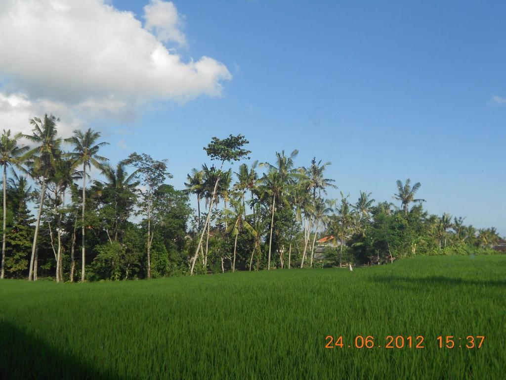 Villa Jasmine B&B Ubud  Room photo