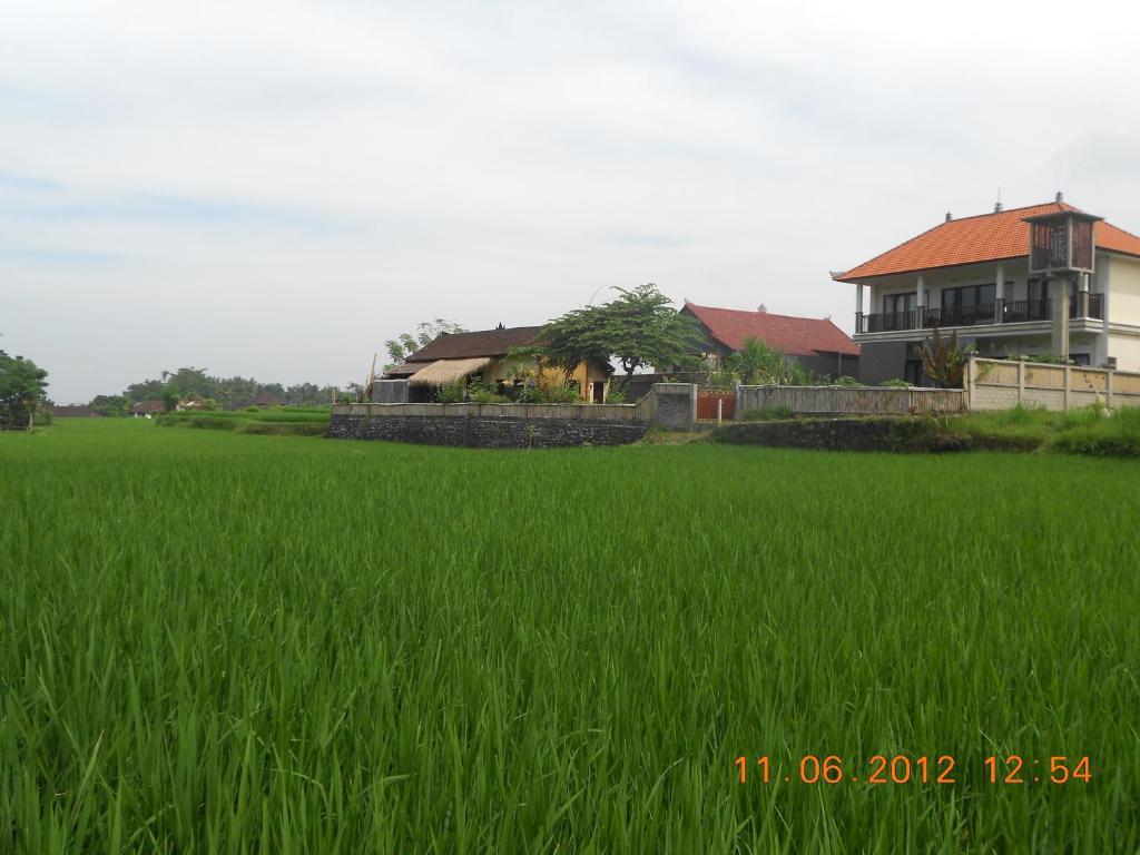 Villa Jasmine B&B Ubud  Exterior photo