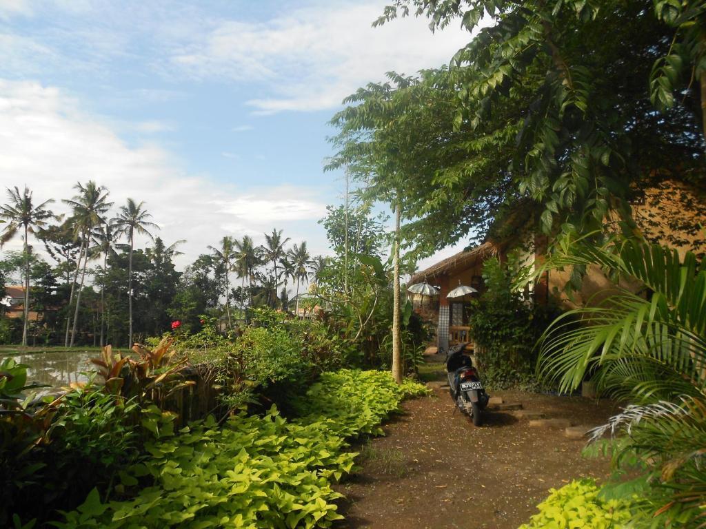 Villa Jasmine B&B Ubud  Exterior photo